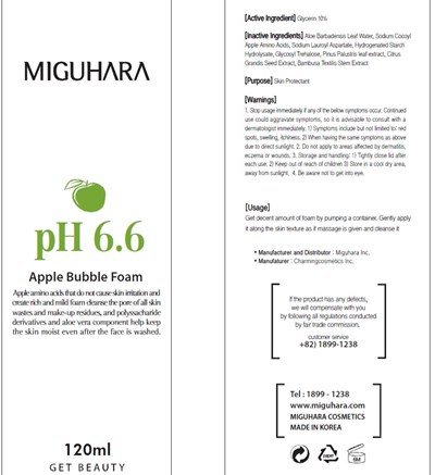 Image Of Carton (Apple Bubble Foam Carton)